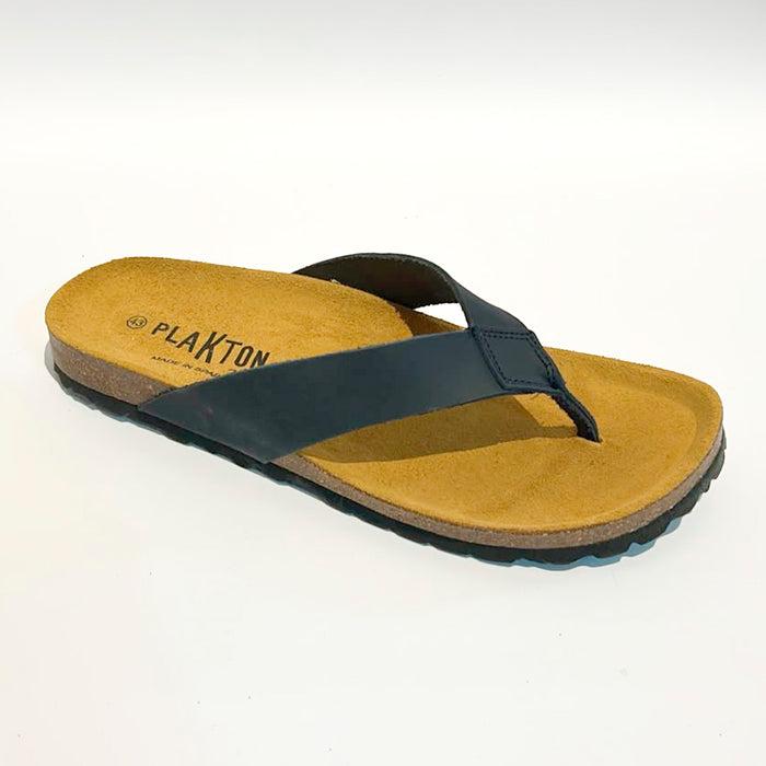 Plakton