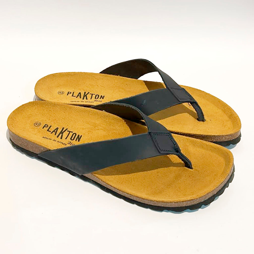 Plakton