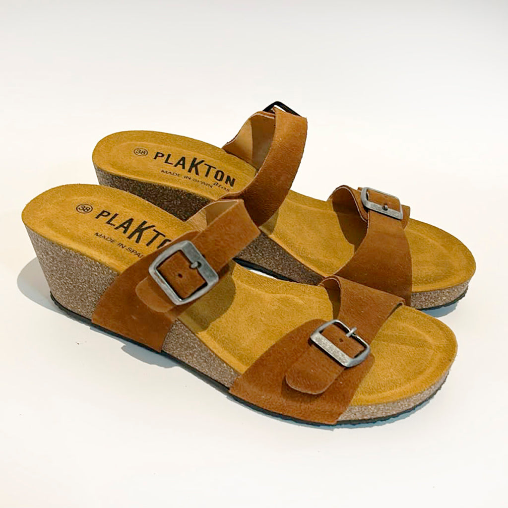 Plakton