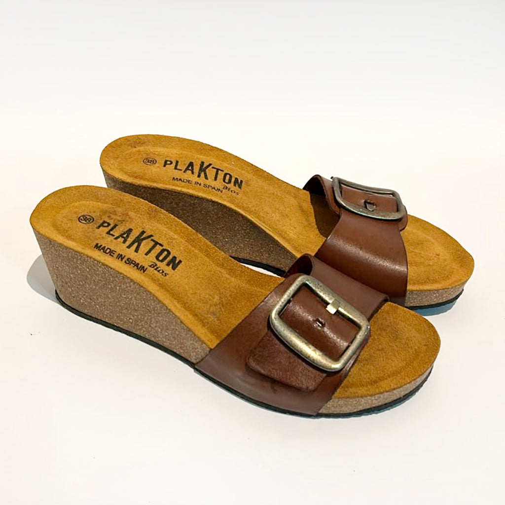 Plakton